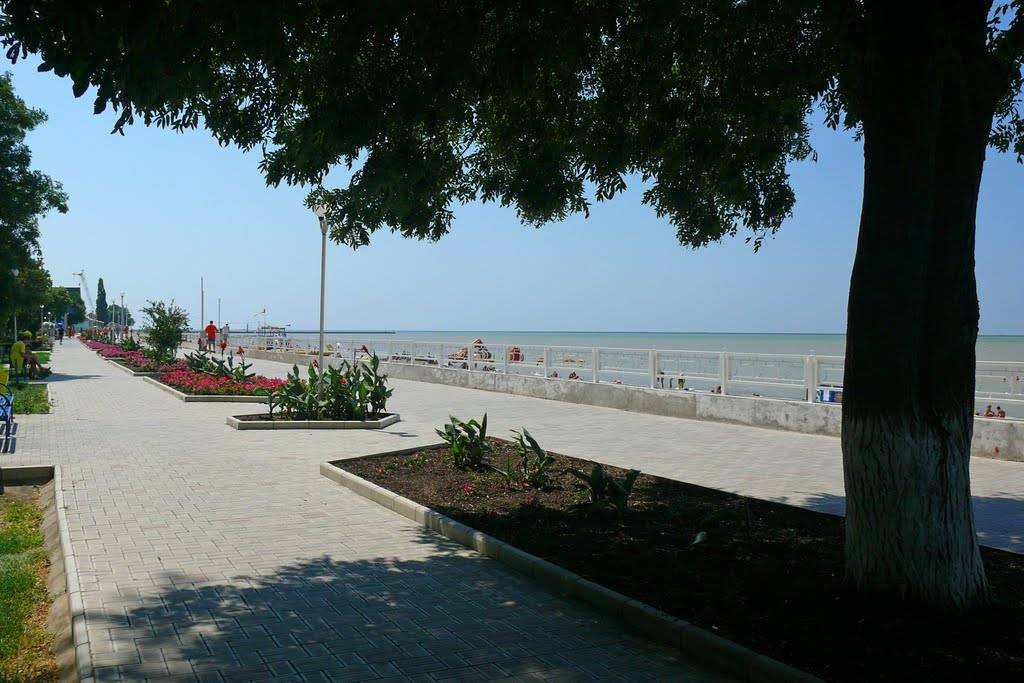 Где провести отпуск: отдых на азовском море