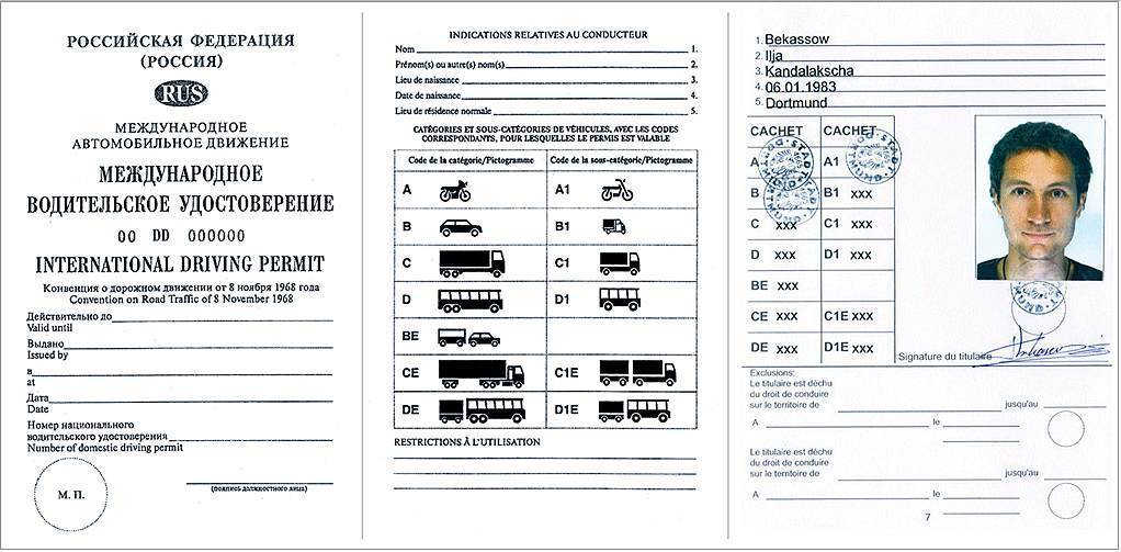 Как выглядят международные водительские права в россии: образец