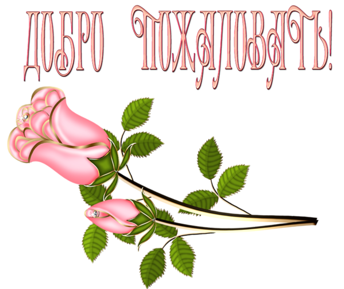 О блоге