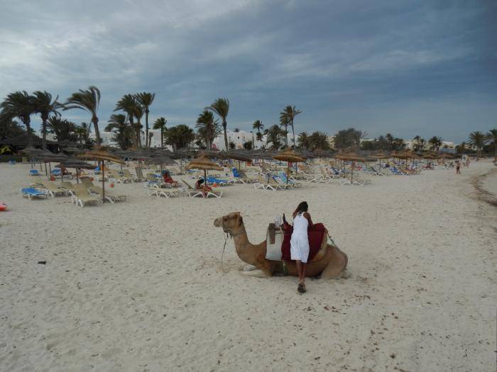 Когда лучше ехать отдыхать в тунис?