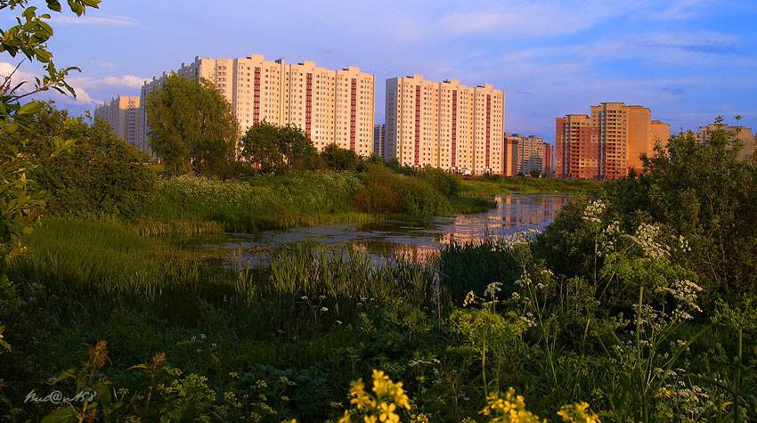По данным статистики, в подмосковье живет каждый двадцатый россиянин