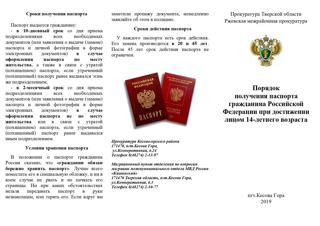 Документы для получения паспорта в 14 лет и описание процедуры