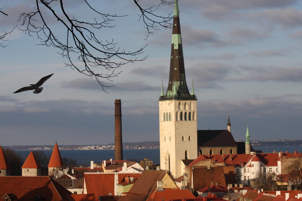 Гражданство эстонии: для чего оно нужно