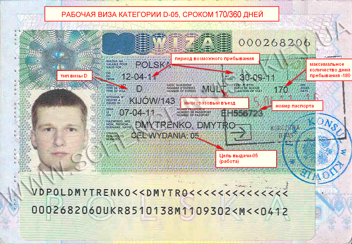 На сколько дают шенген визу - максимальный срок действия в 2023
