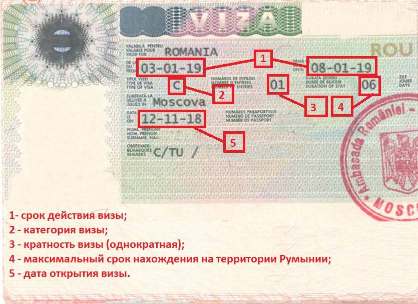 Как переехать в США с румынским паспортом, жить и работать в Америке без визы?