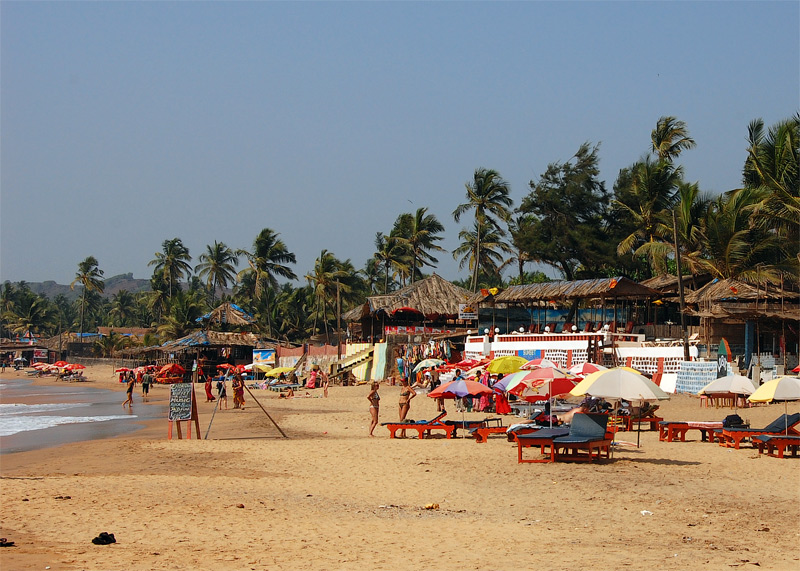 Отдых в индии: куда лучше поехать? курорты, море, отзывы