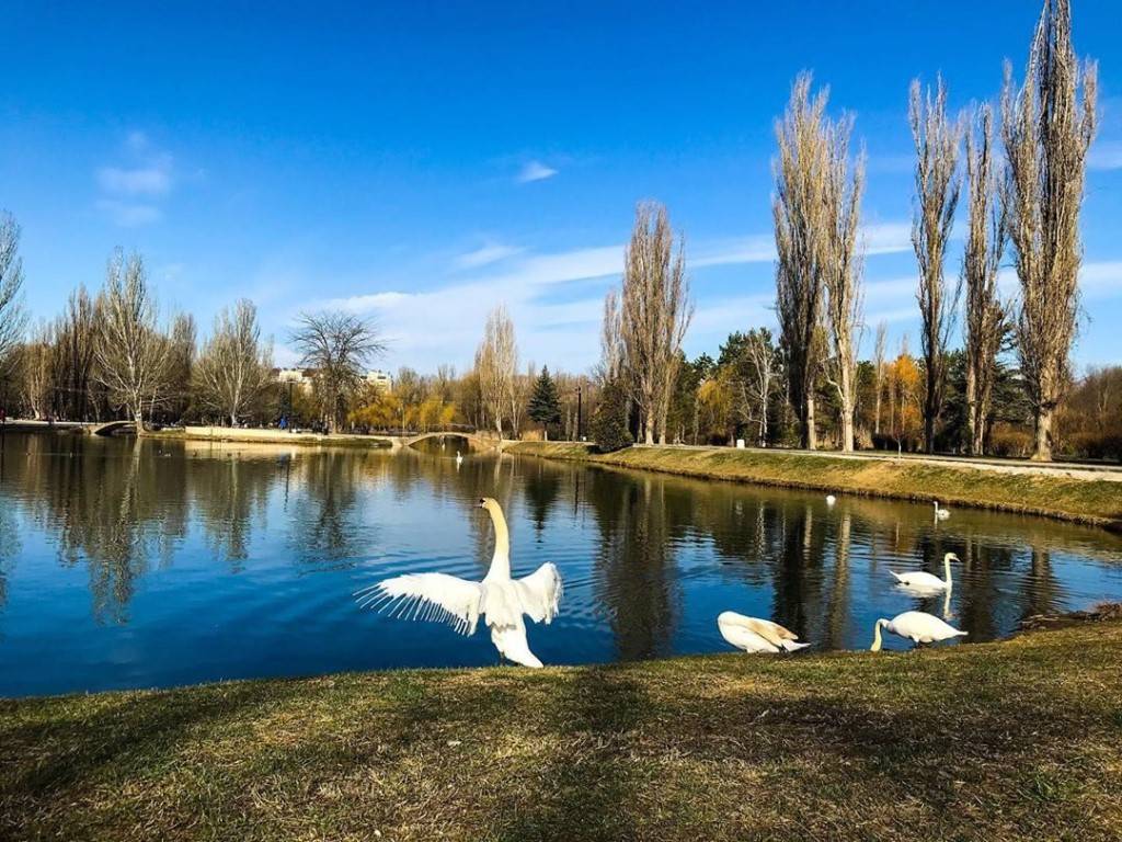 Фото гагаринского парка