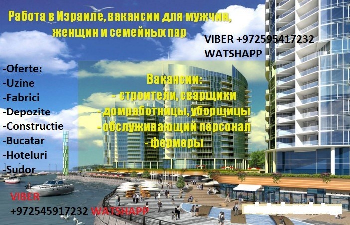Работа в израиле для русских