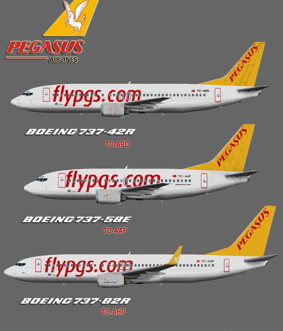 Pegasus airlines - бюджетная авиакомпания турции, нормы провоза багажа и ручной клади - 2022