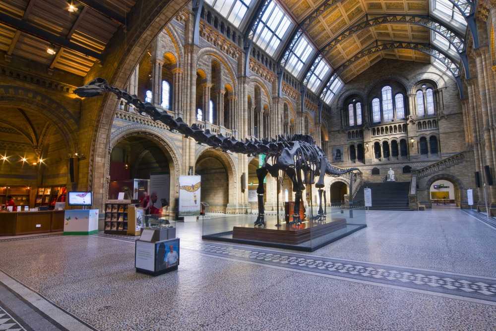 Посетите лондонские музеи и галереи с бесплатным входом