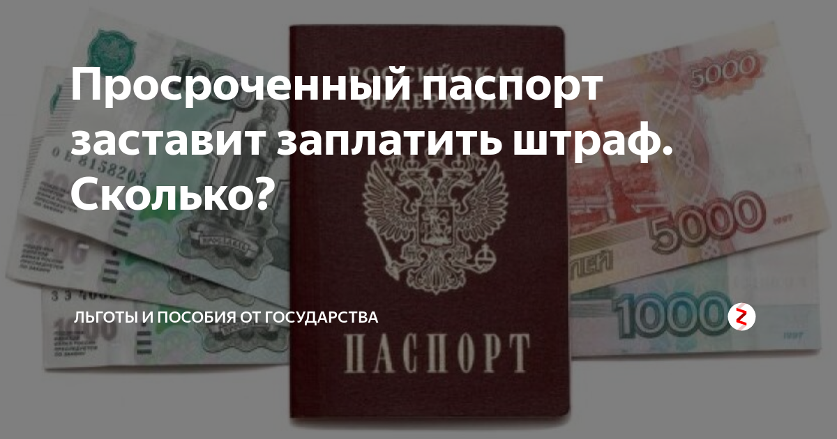 Просрочен паспорт: что делать, куда обращаться, порядок действий и необходимая документация - realconsult.ru