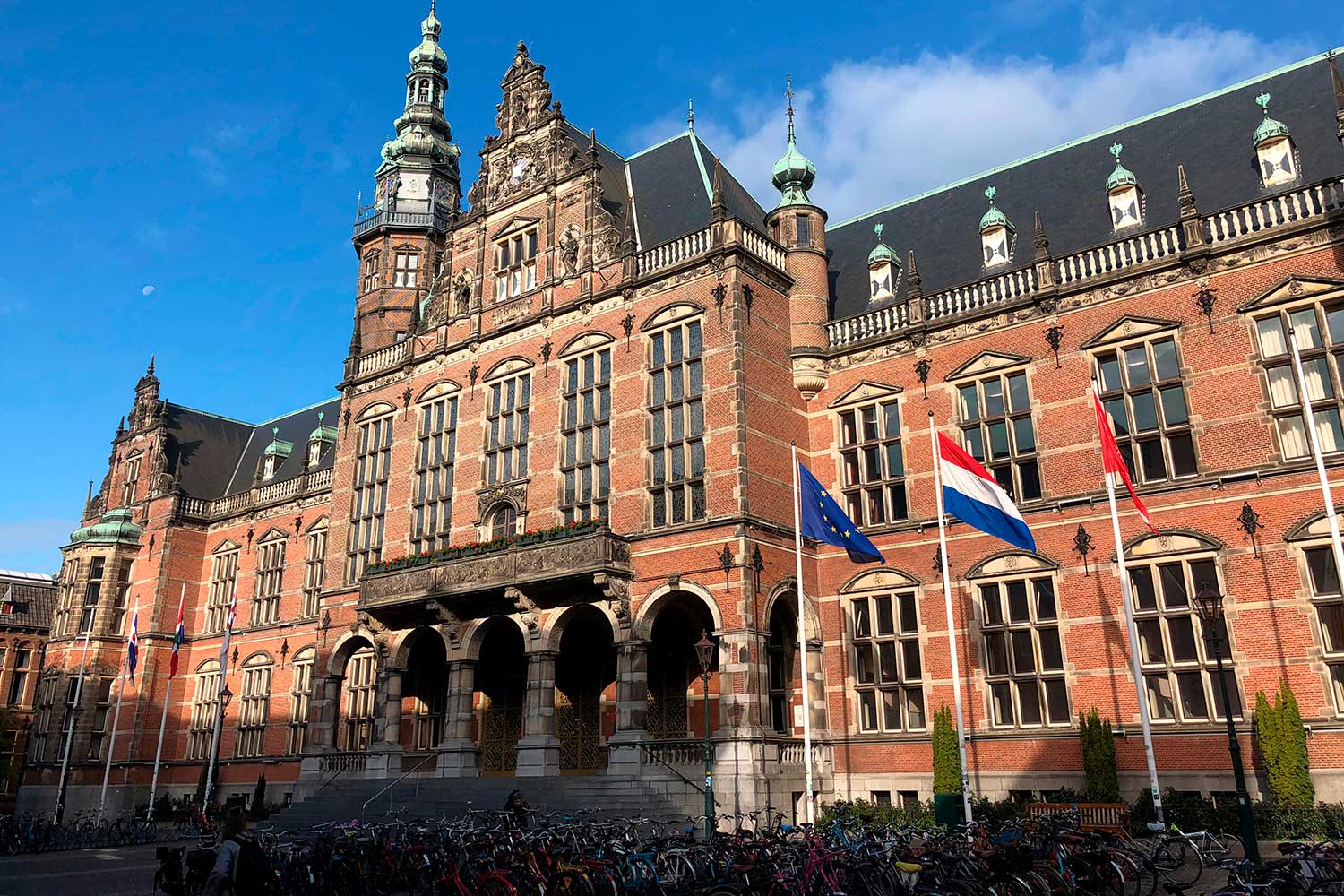 Университеты голландия, полный перечень высших учебных заведений голландии в 2023 году