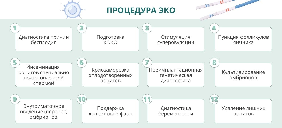 Процедура эко: как это происходит?
